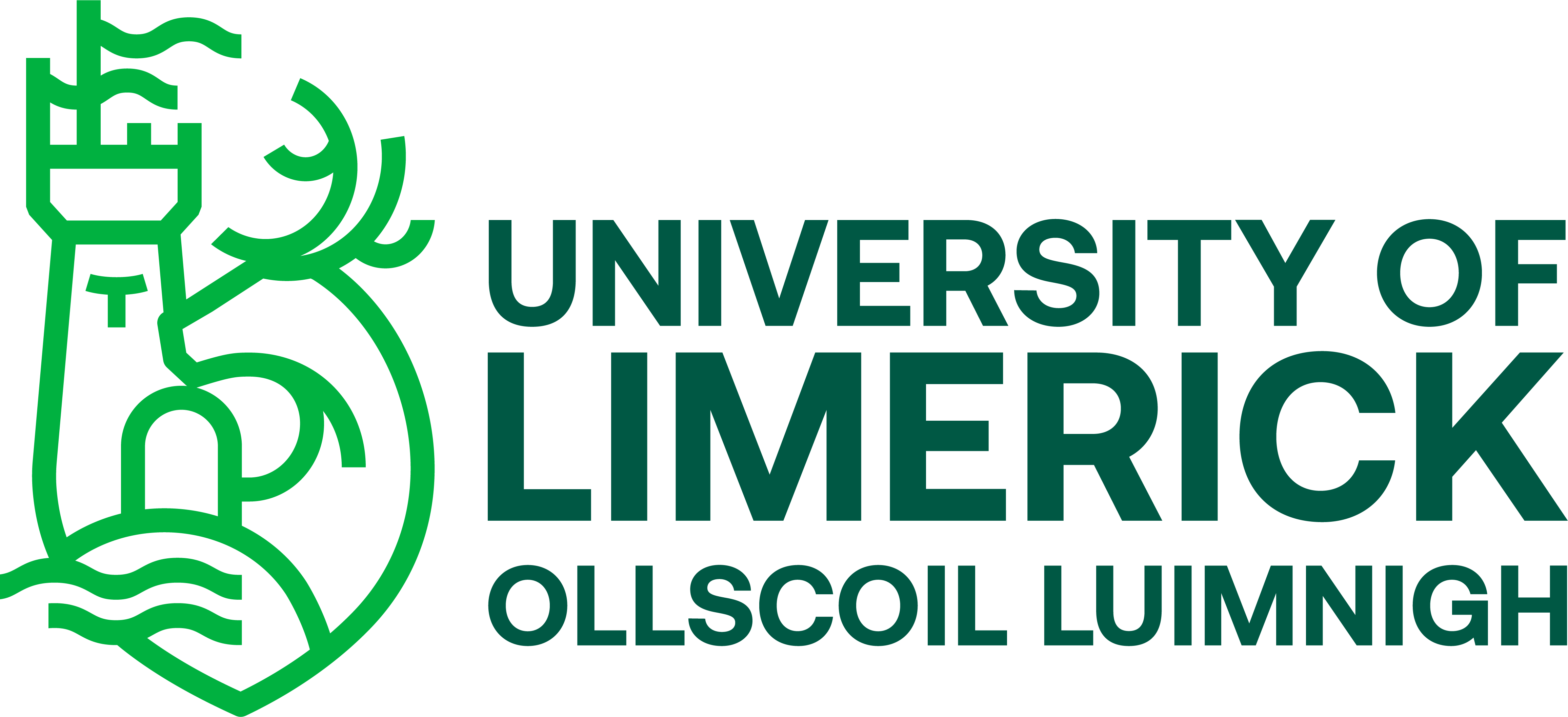 University of Limerick · Yerun